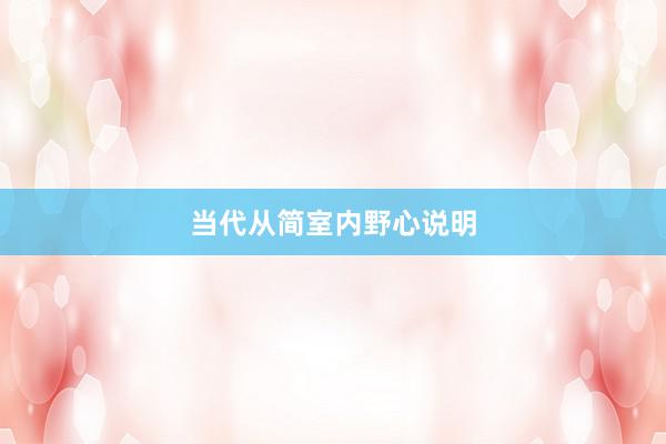 当代从简室内野心说明