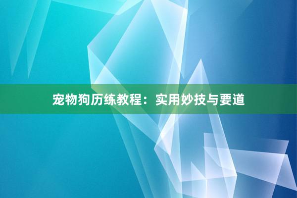 宠物狗历练教程：实用妙技与要道