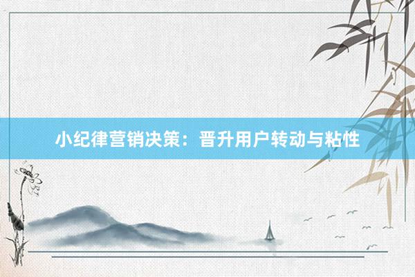 小纪律营销决策：晋升用户转动与粘性